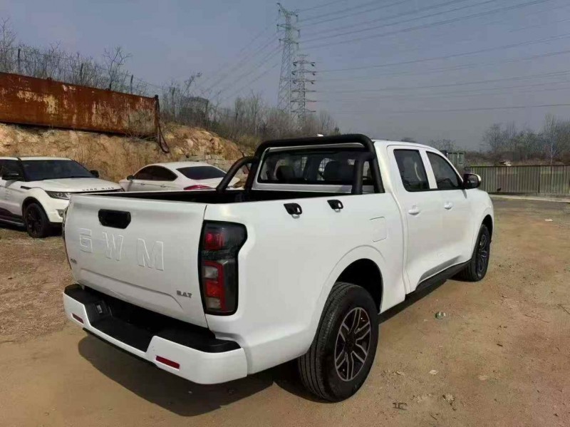 枣庄26年长城汽车炮 皮卡8