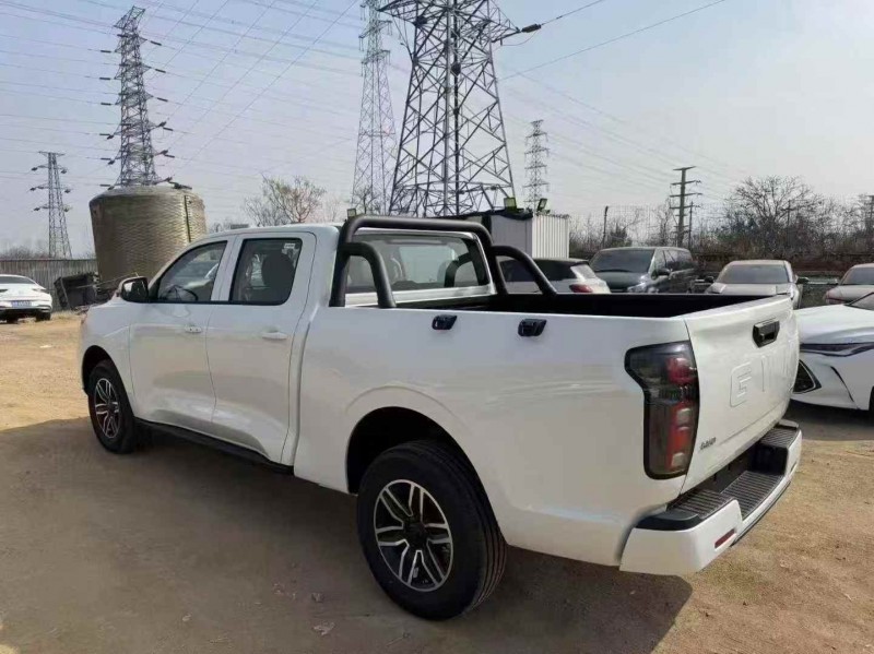 枣庄26年长城汽车炮 皮卡9