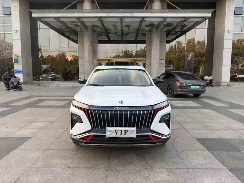 枣庄24年东风风神1