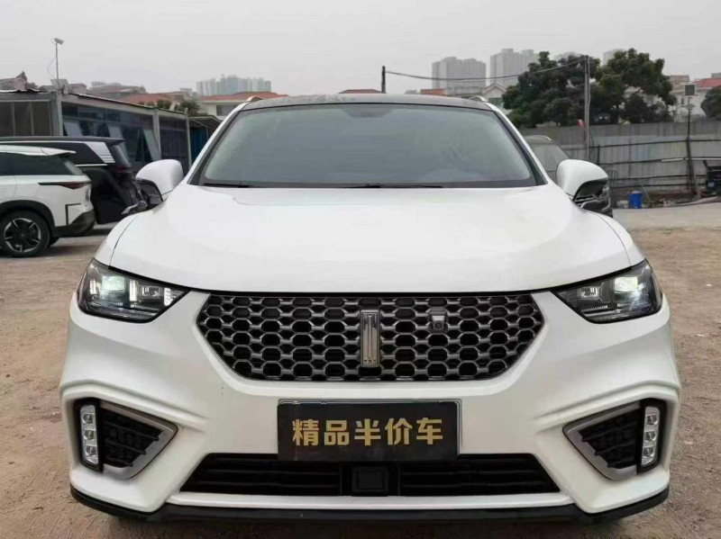 广州21年长城汽车WEY1