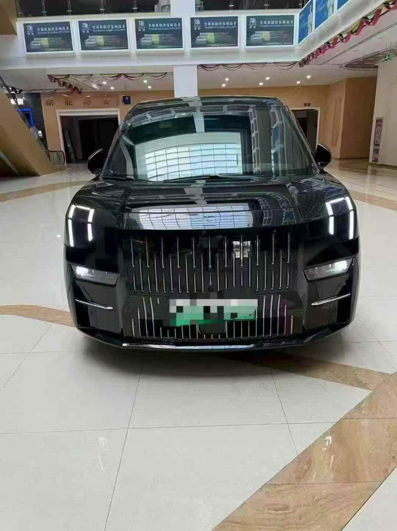 芜湖24年极氪汽车0091