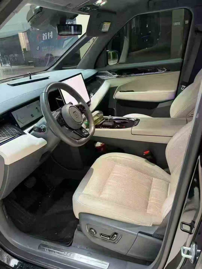 铜陵24年极氪汽车0095