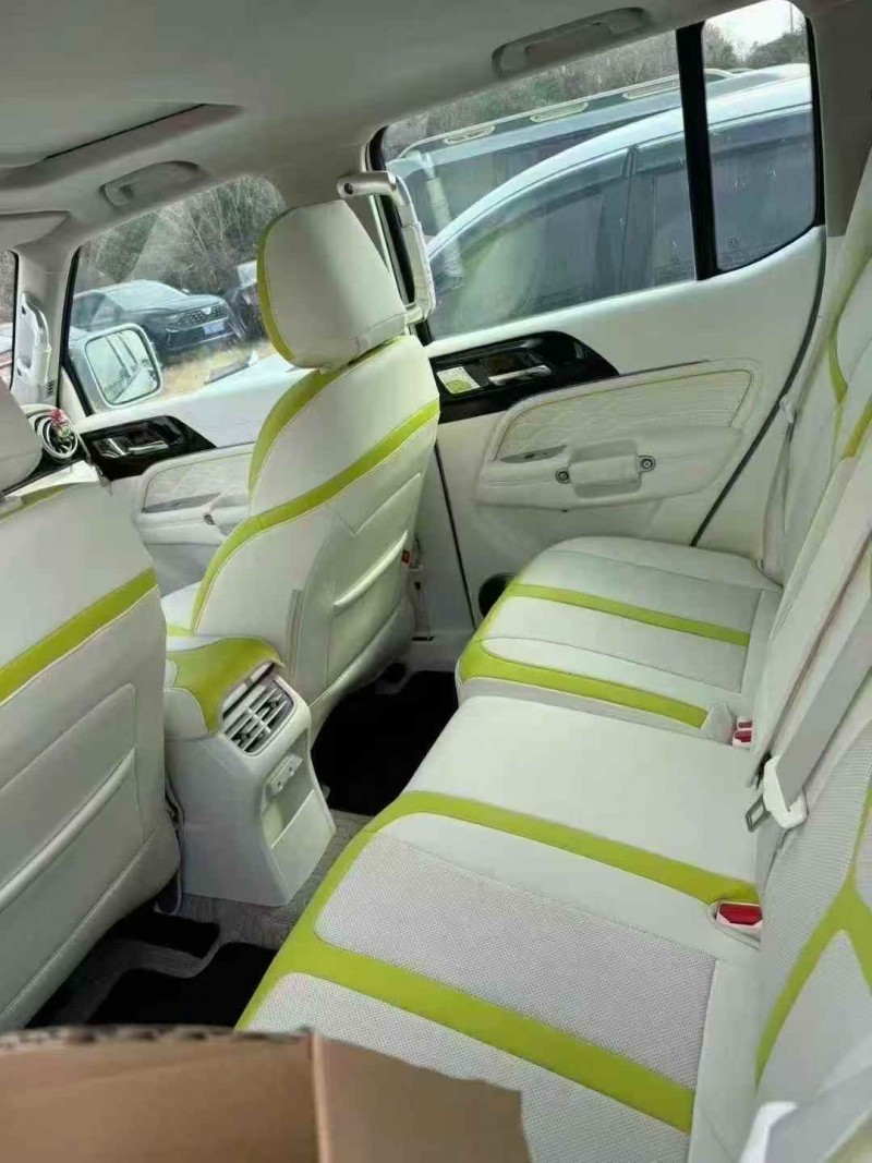 张家界22年长城汽车坦克6