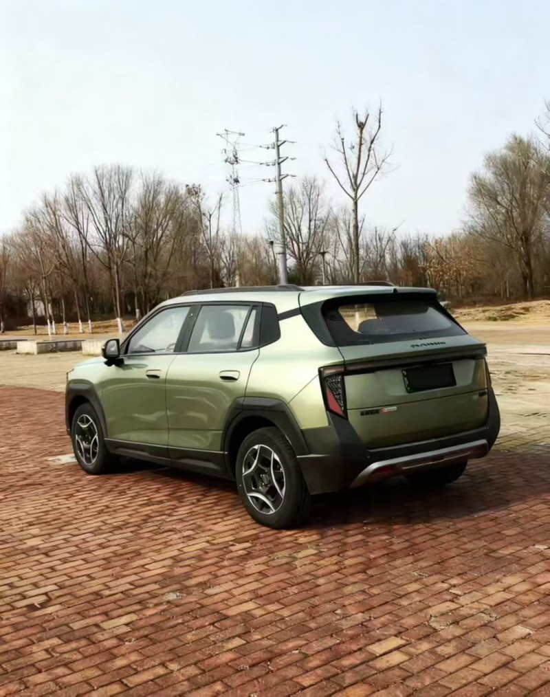 聊城26年东风纳米8