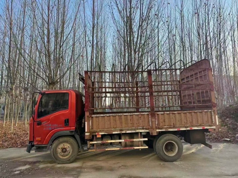 菏泽19年卡车系列大运汽车2