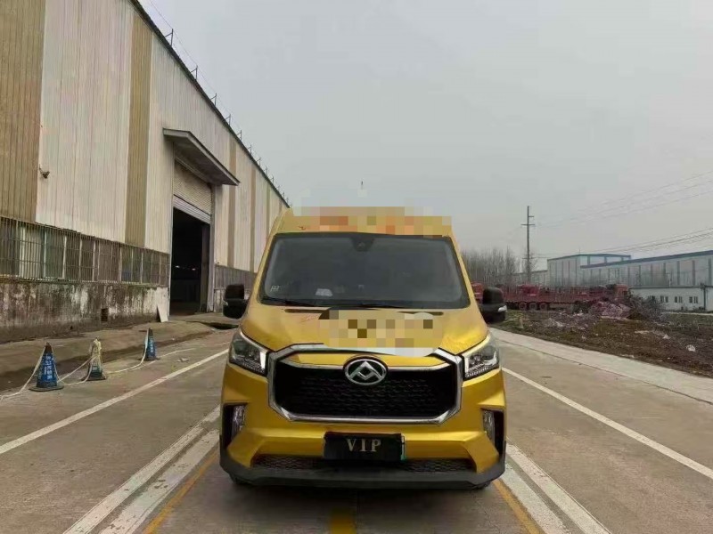 菏泽22年大通EV30L1