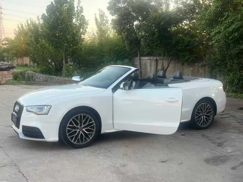 徐州15年奥迪A53