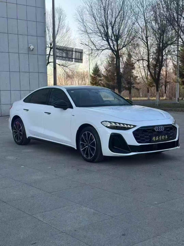 吉林25年奥迪A52