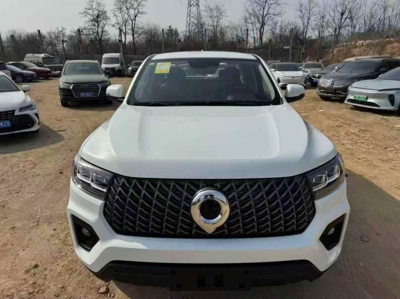 东营26年长城汽车炮 皮卡1