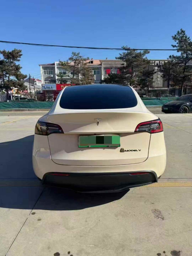 邯郸21年特斯拉MODEL Y8