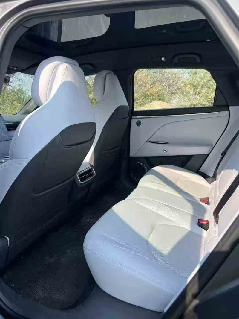 佛山24年极狐汽车阿尔法5