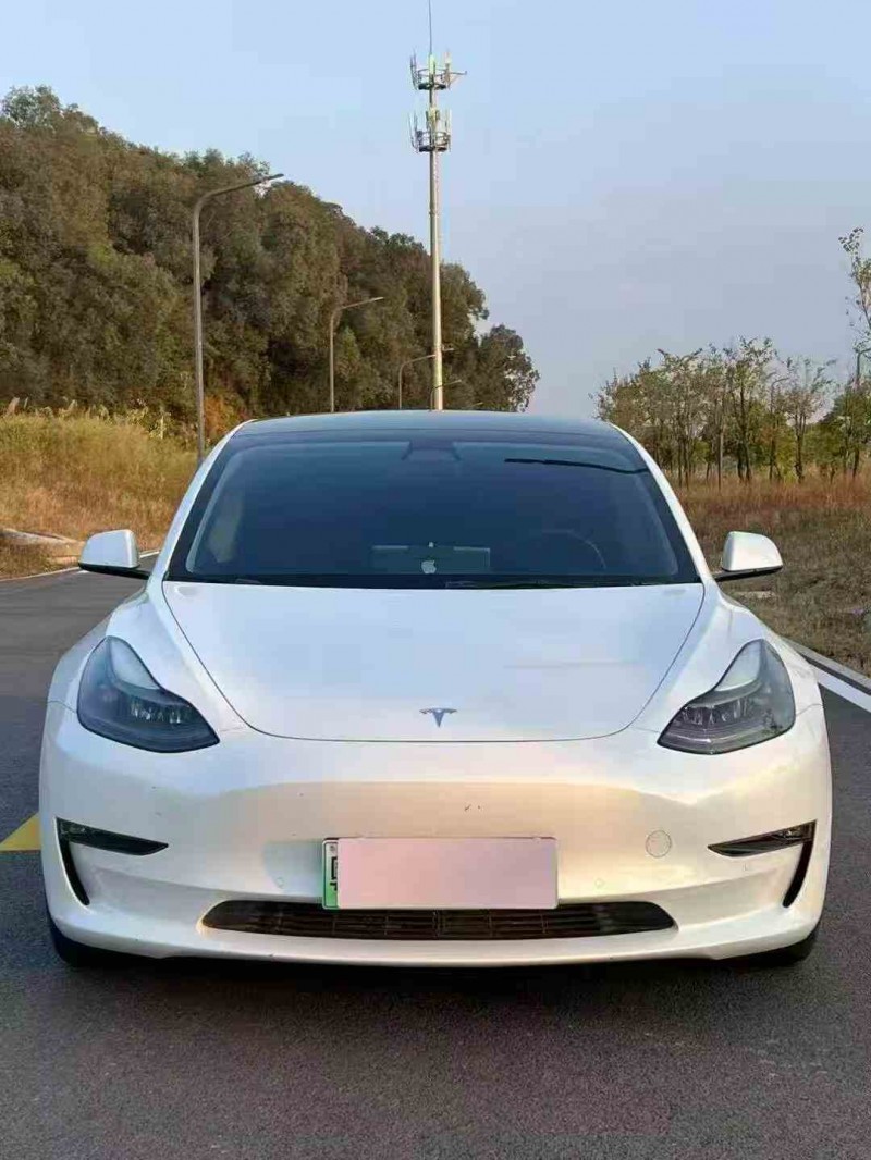 湛江22年特斯拉MODEL 31