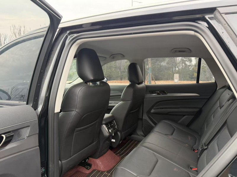 岳阳24年福特领睿9