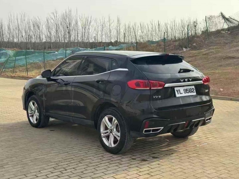 鹤壁20年长城汽车魏牌9