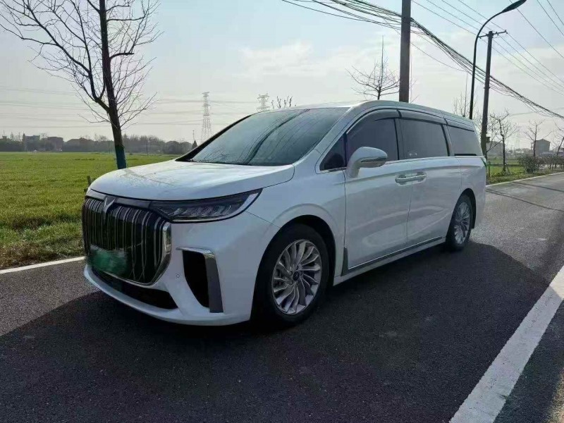 湖州24年岚图汽车梦想家3