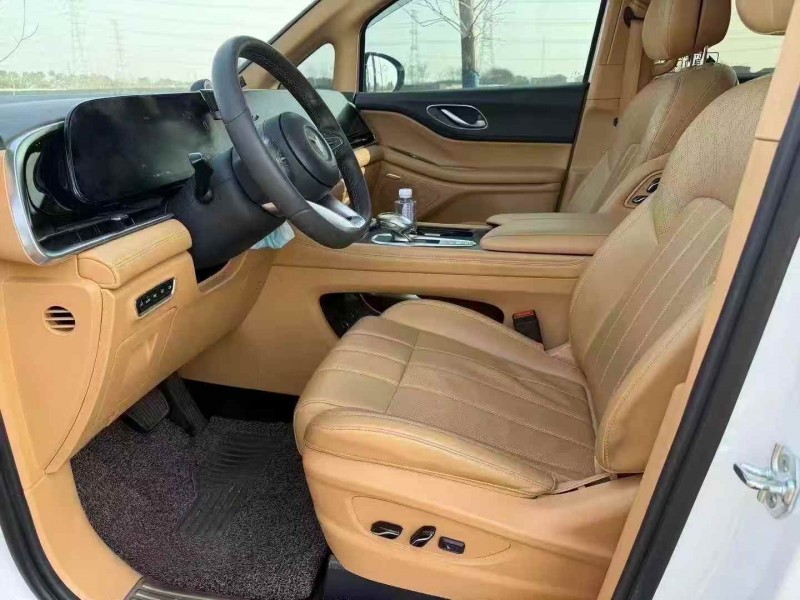 湖州24年岚图汽车梦想家4