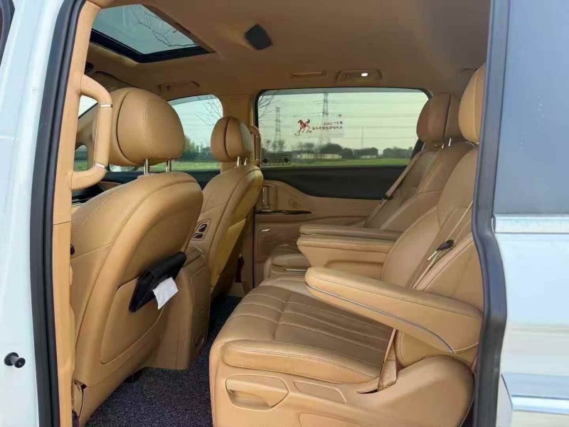 湖州24年岚图汽车梦想家6