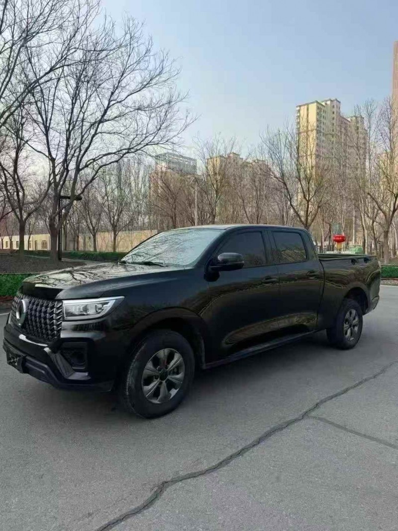 枣庄25年长城汽车炮 皮卡2