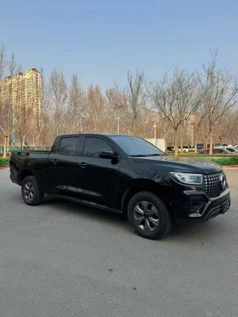 枣庄25年长城汽车炮 皮卡3