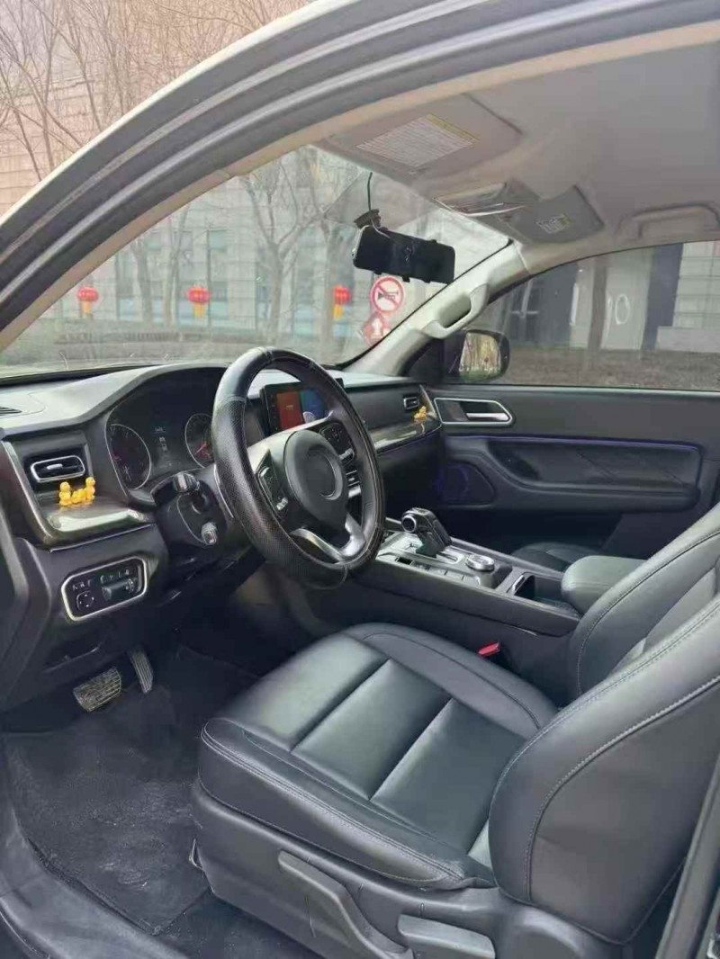 枣庄25年长城汽车炮 皮卡6