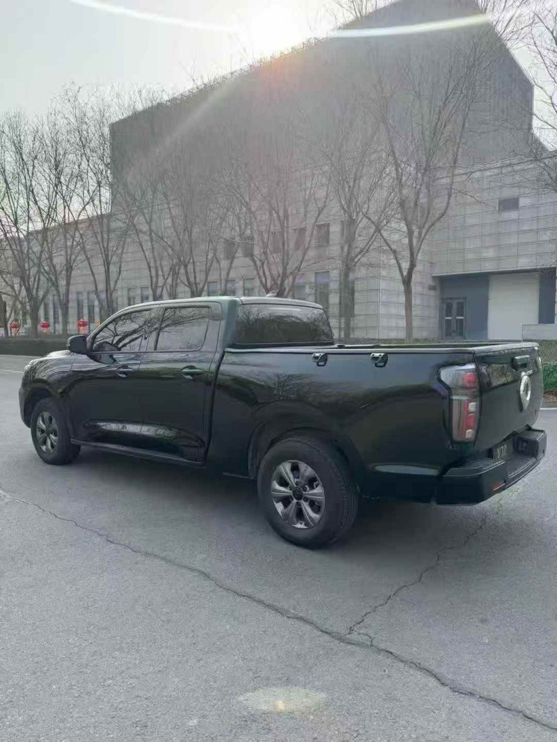 枣庄25年长城汽车炮 皮卡7