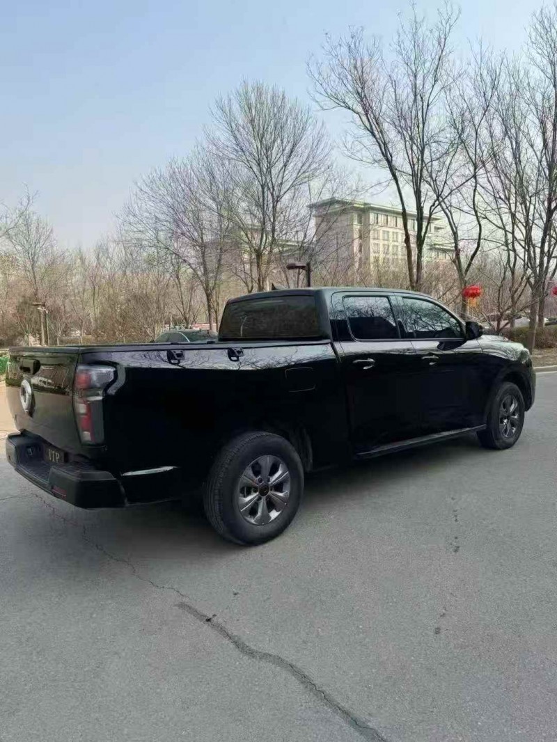 枣庄25年长城汽车炮 皮卡8