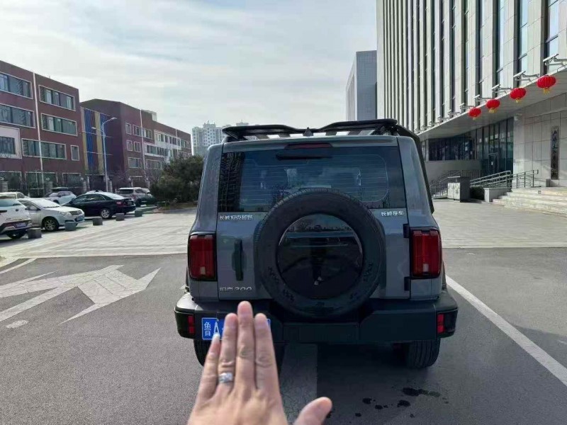 淄博24年长城汽车坦克7