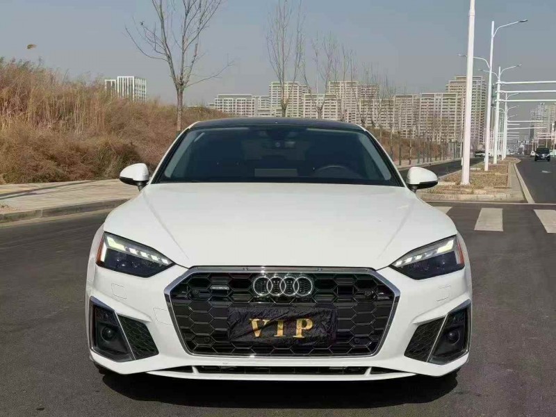 张家口21年奥迪A51