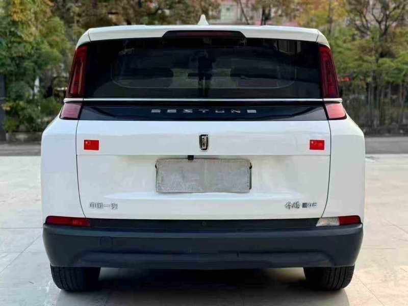 湛江25年奔腾nat9