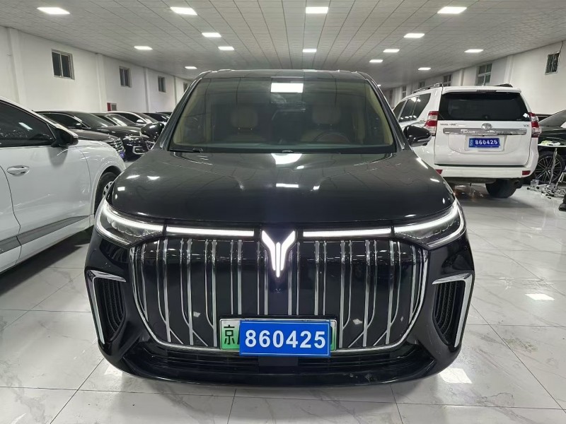 廊坊23年岚图汽车梦想家1