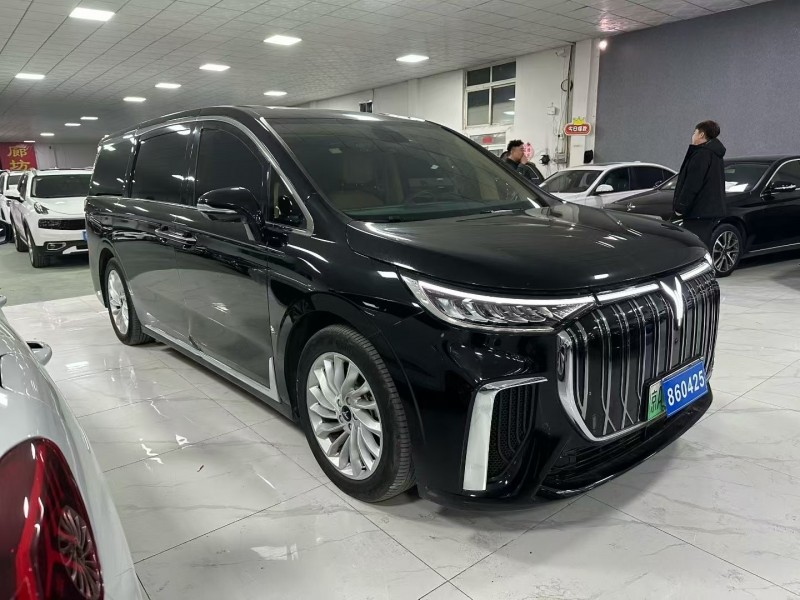 廊坊23年岚图汽车梦想家3