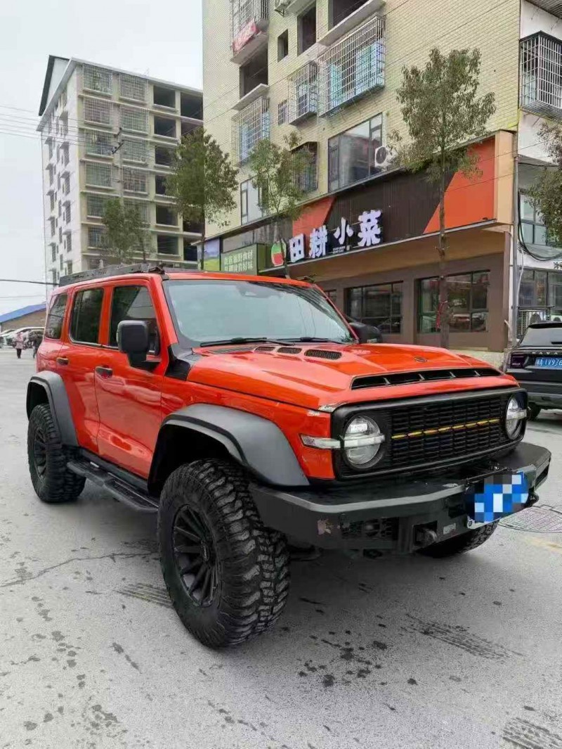 株洲21年长城汽车坦克2