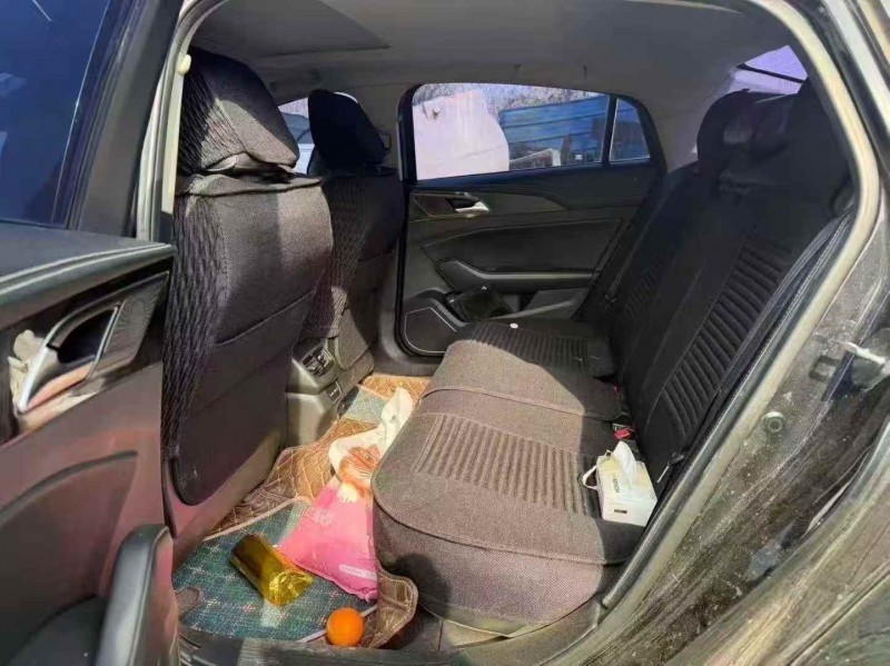 安阳20年红旗H54