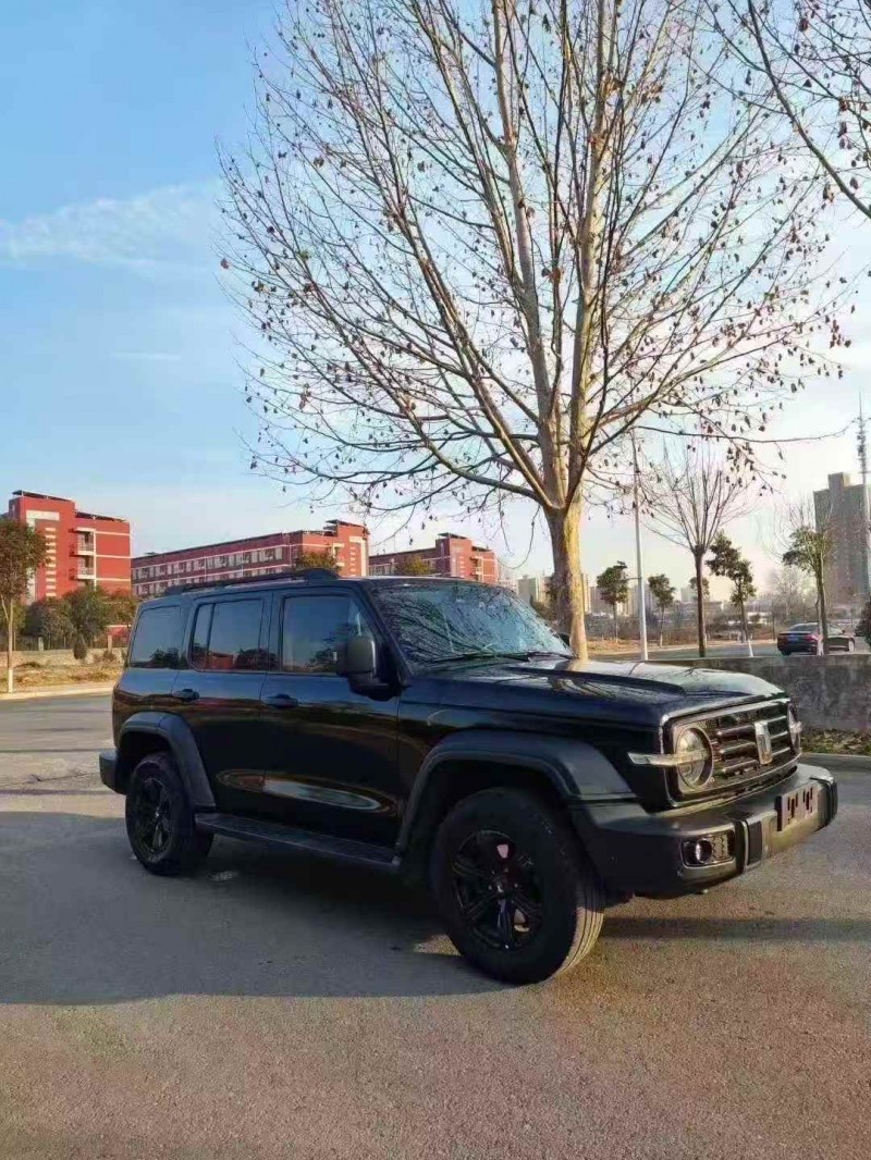 新乡23年长城汽车坦克2