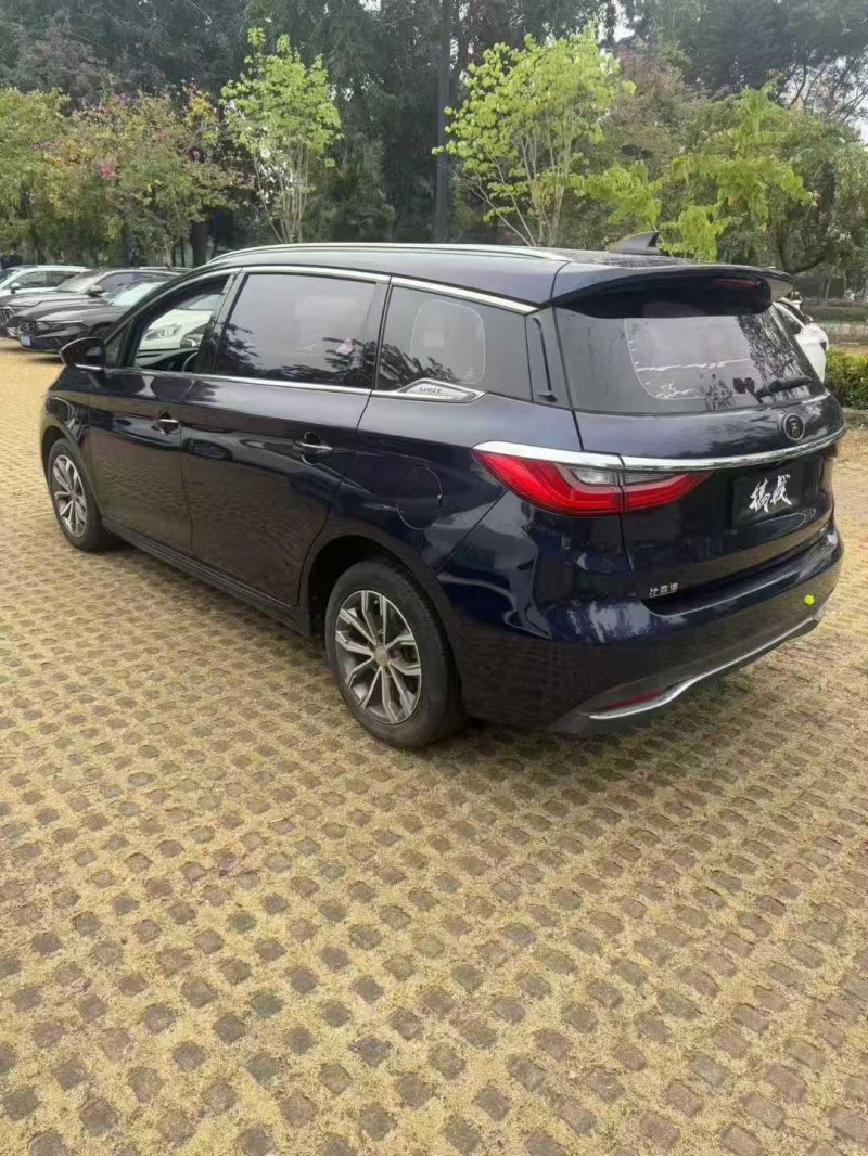 东莞20年比亚迪宋MAX8