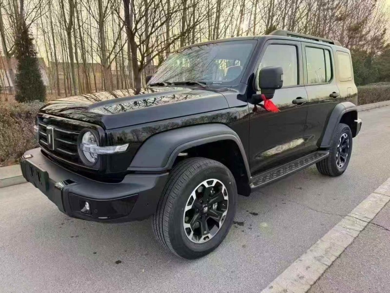 东营26年长城汽车坦克2