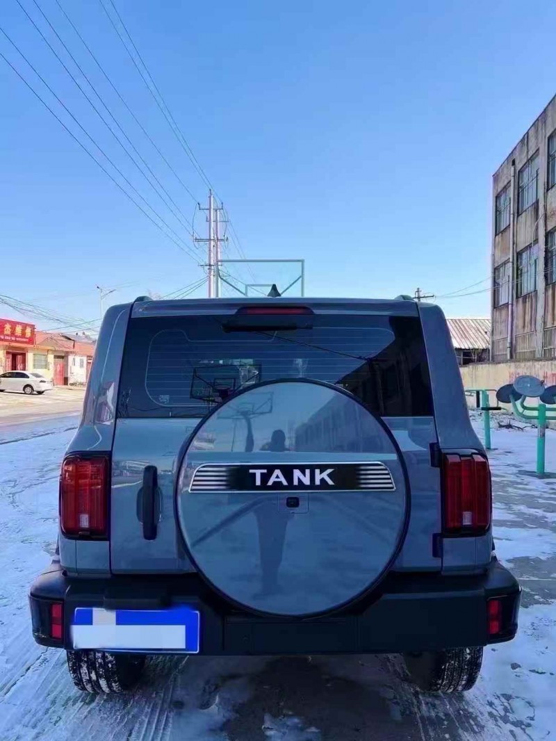 淄博23年长城汽车炮 皮卡9