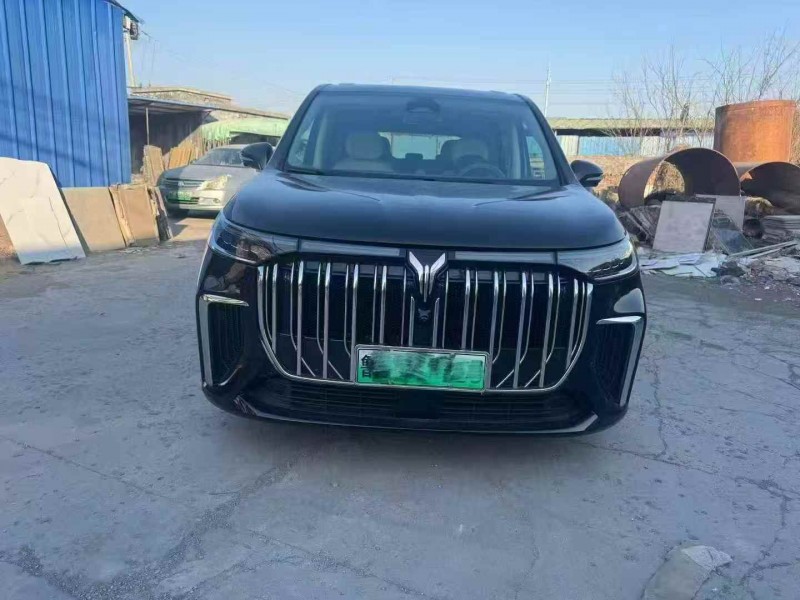 烟台24年岚图汽车梦想家1