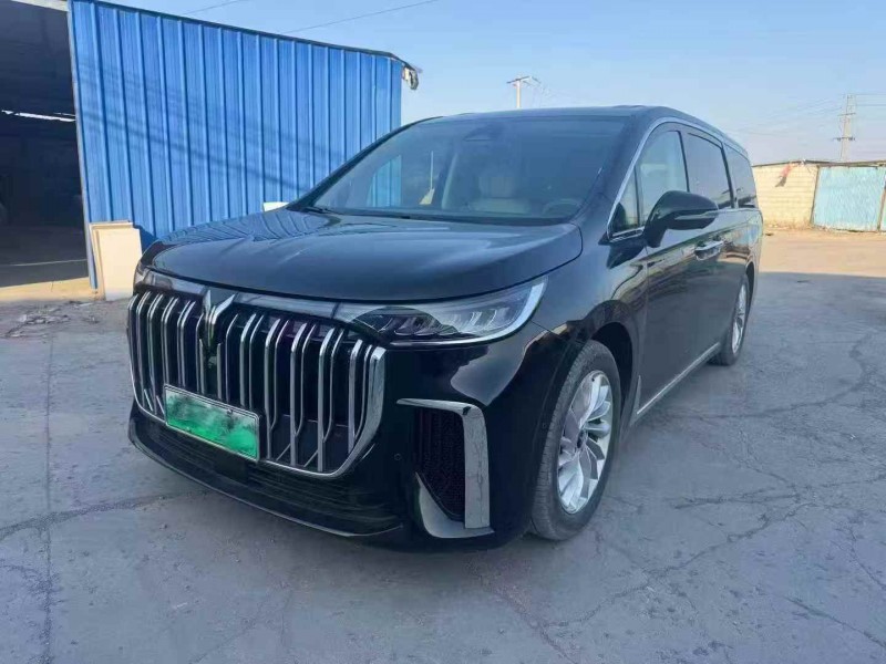 烟台24年岚图汽车梦想家2