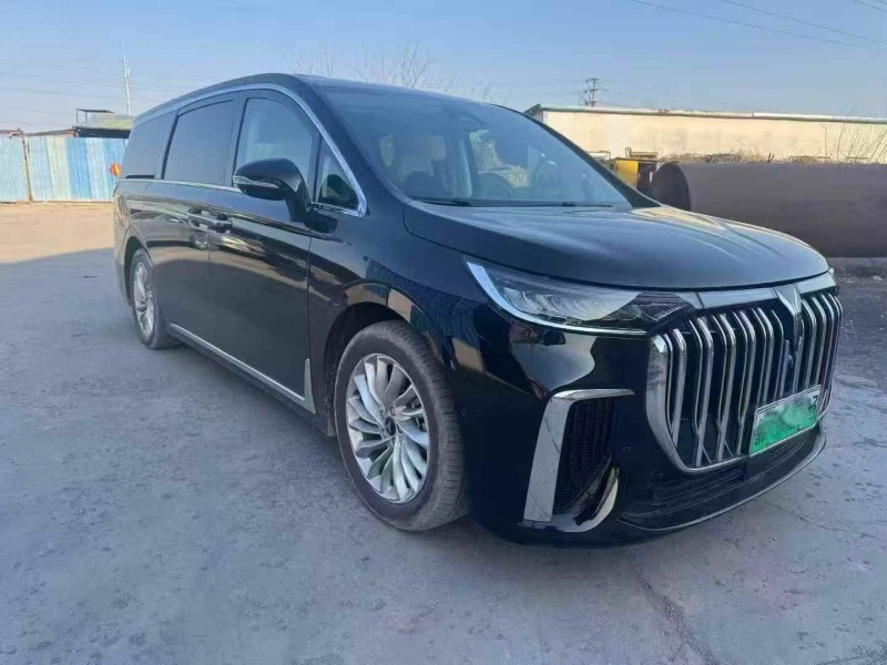 烟台24年岚图汽车梦想家3