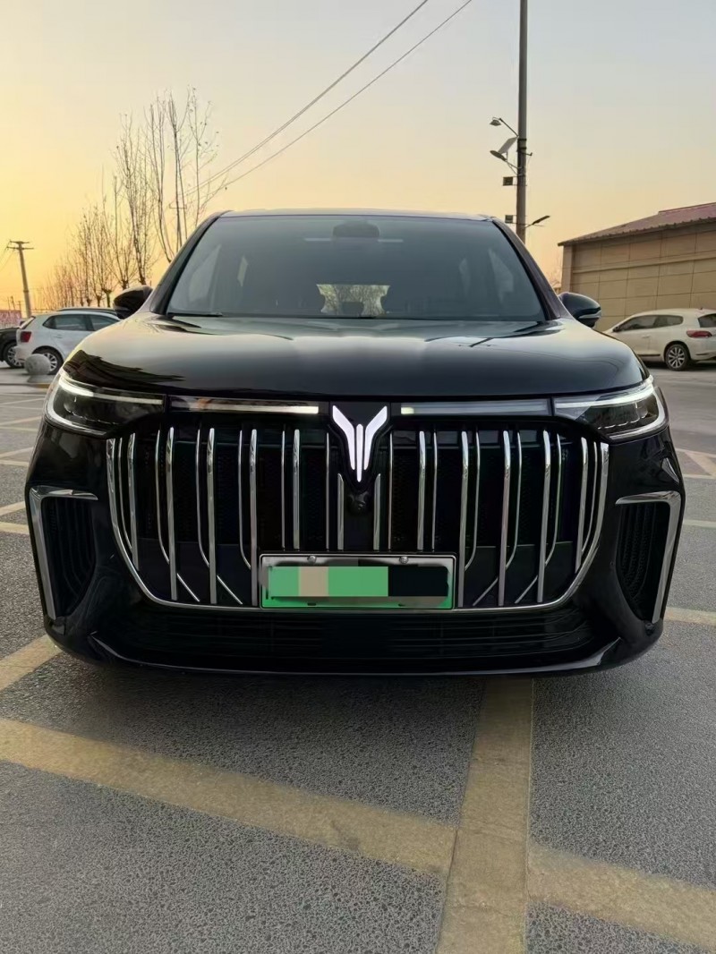 廊坊25年岚图汽车梦想家1