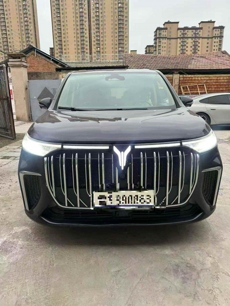 潍坊23年岚图汽车梦想家1