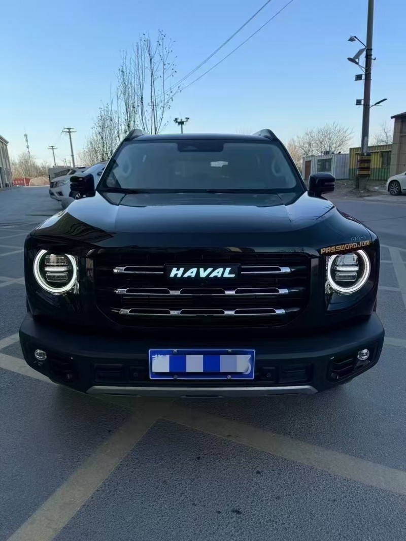 廊坊23年哈弗大狗1