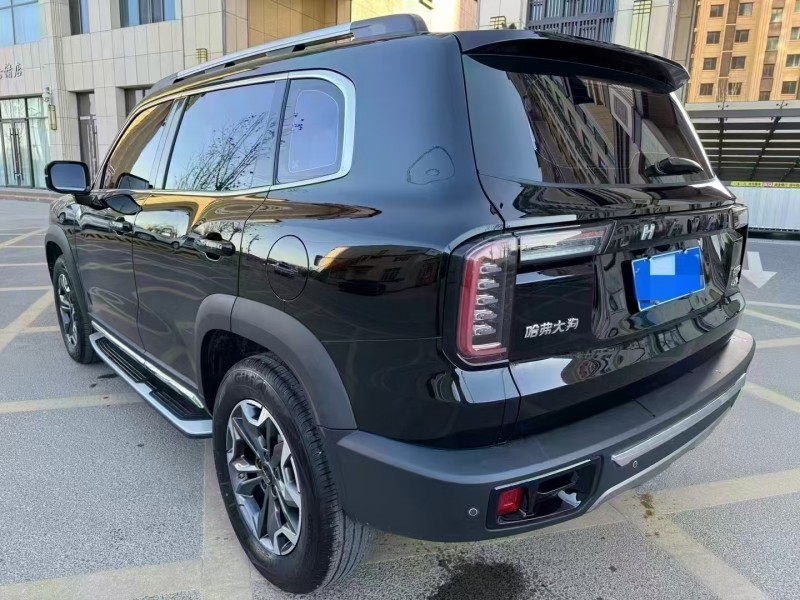 廊坊23年哈弗大狗8