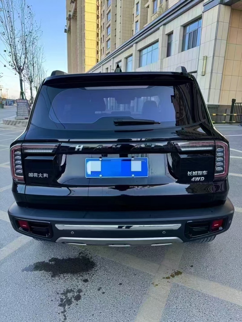 廊坊23年哈弗大狗9