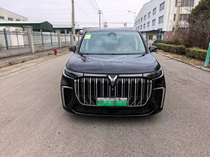 苏州24年岚图汽车梦想家1