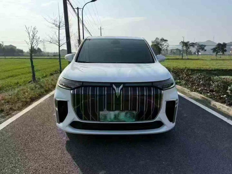 绍兴24年岚图汽车梦想家1