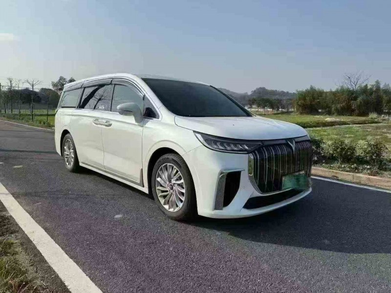 绍兴24年岚图汽车梦想家2