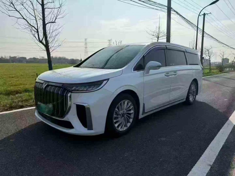 绍兴24年岚图汽车梦想家3