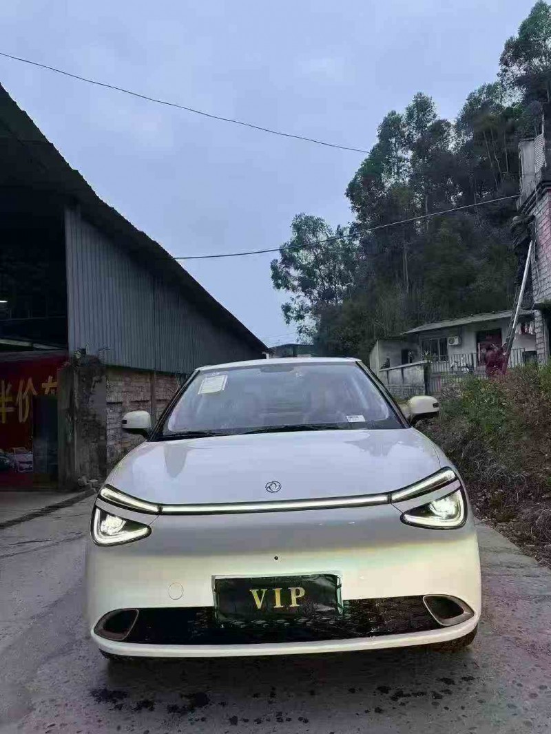 德阳25年东风纳米1